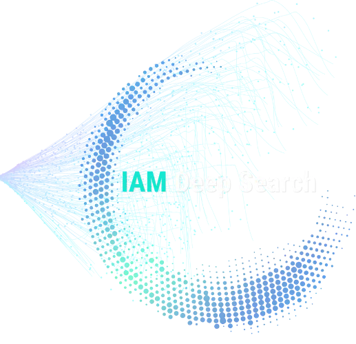 IAM Deep Search